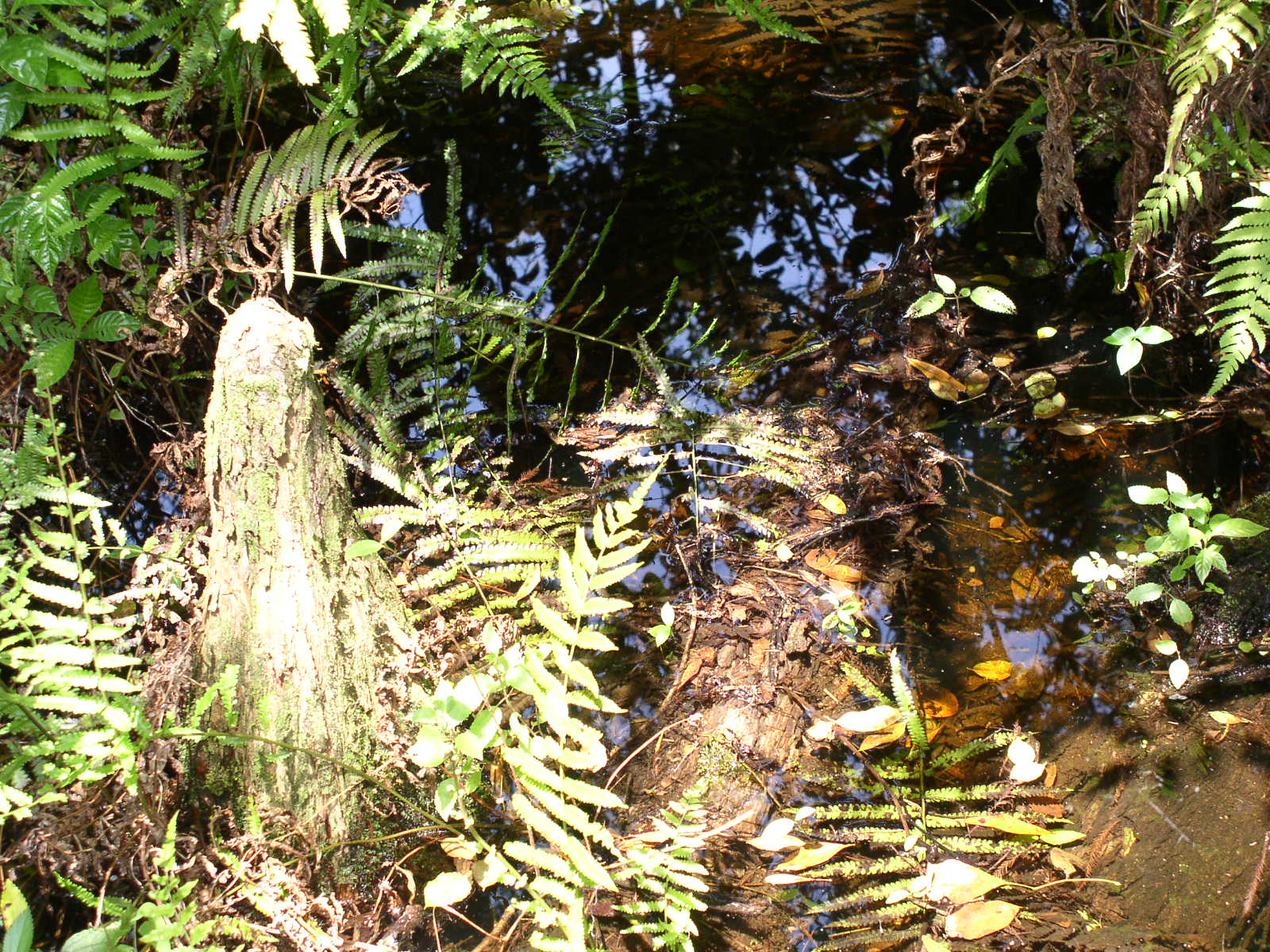 photo5